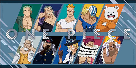 ONE PIECE merchandise