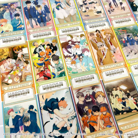 Haikyu!! The VIsual Clear Ticket