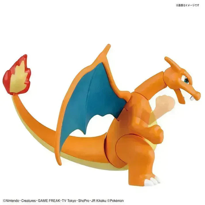 Pokemon Model Kit - 43 Charizard & Dragonite 06